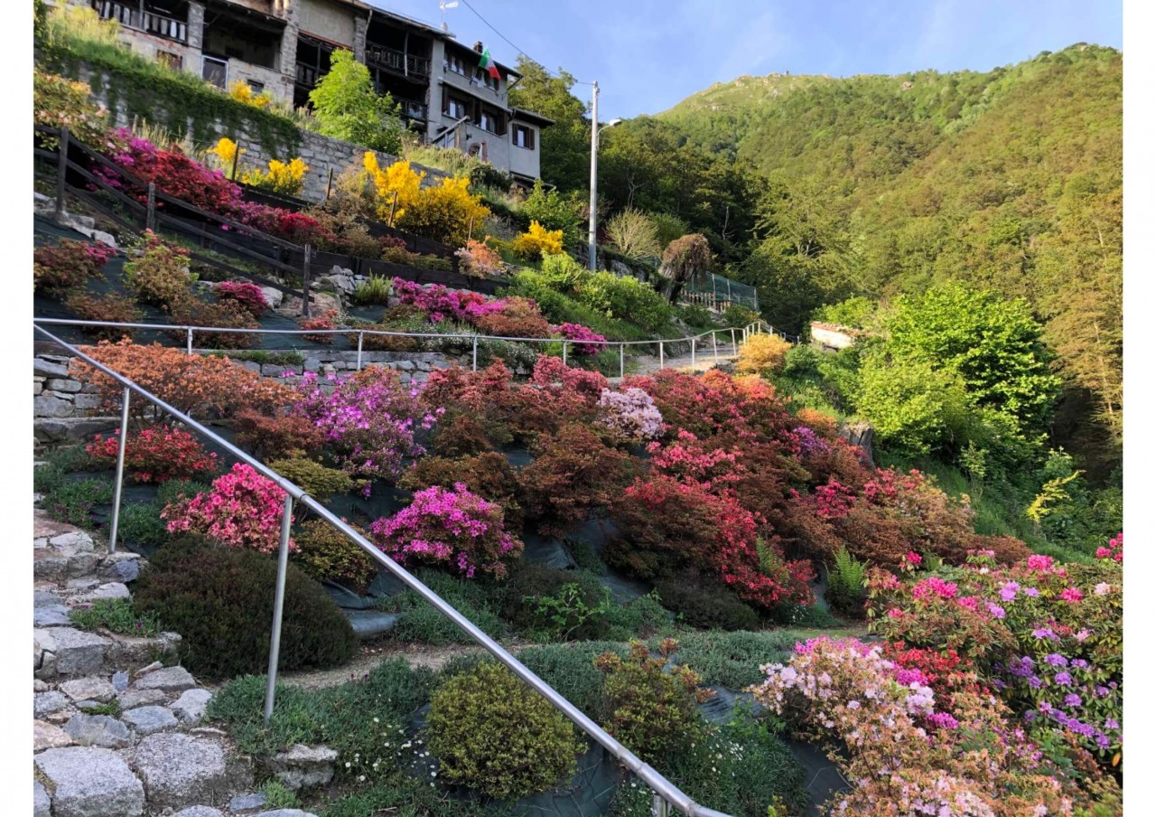 Angolo fiorito con lavatoio in Alta Valle Cervo | Premio +bellezza in Valle