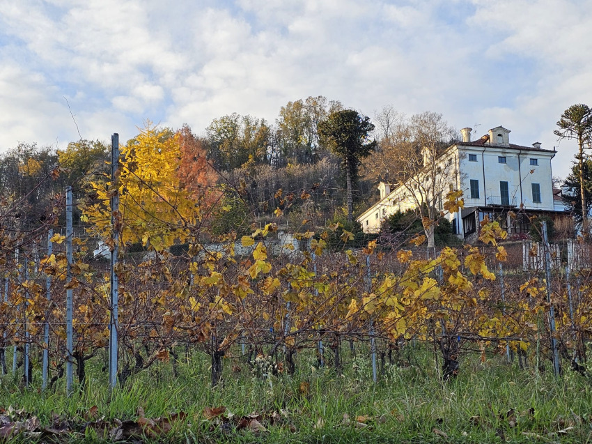 Un nuovo vigneto ai piedi della Cà Bianca | Premio +bellezza in Valle